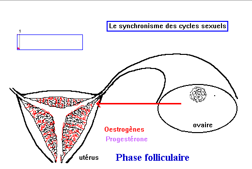 Veuillez patienter... Chargement des images